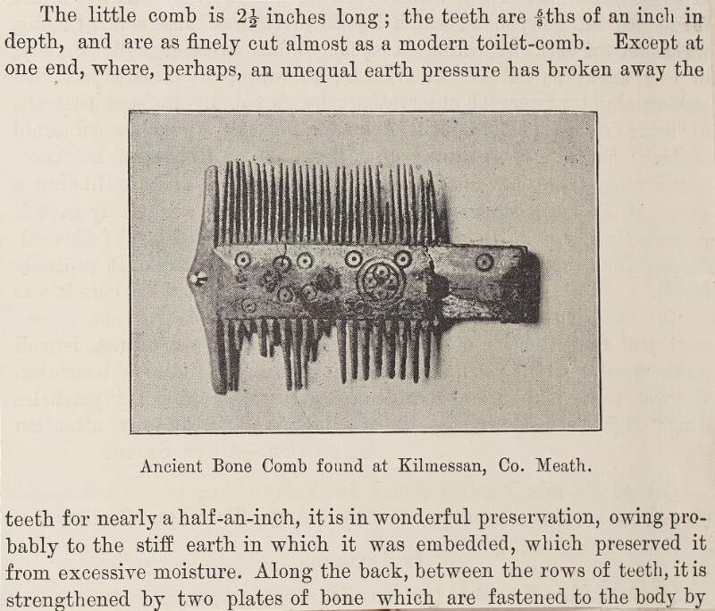 Ancient bone comb found at Kilmessan, County Meath