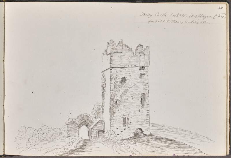 Boley Castle, looks west (west of Clongeen, County Wexford)