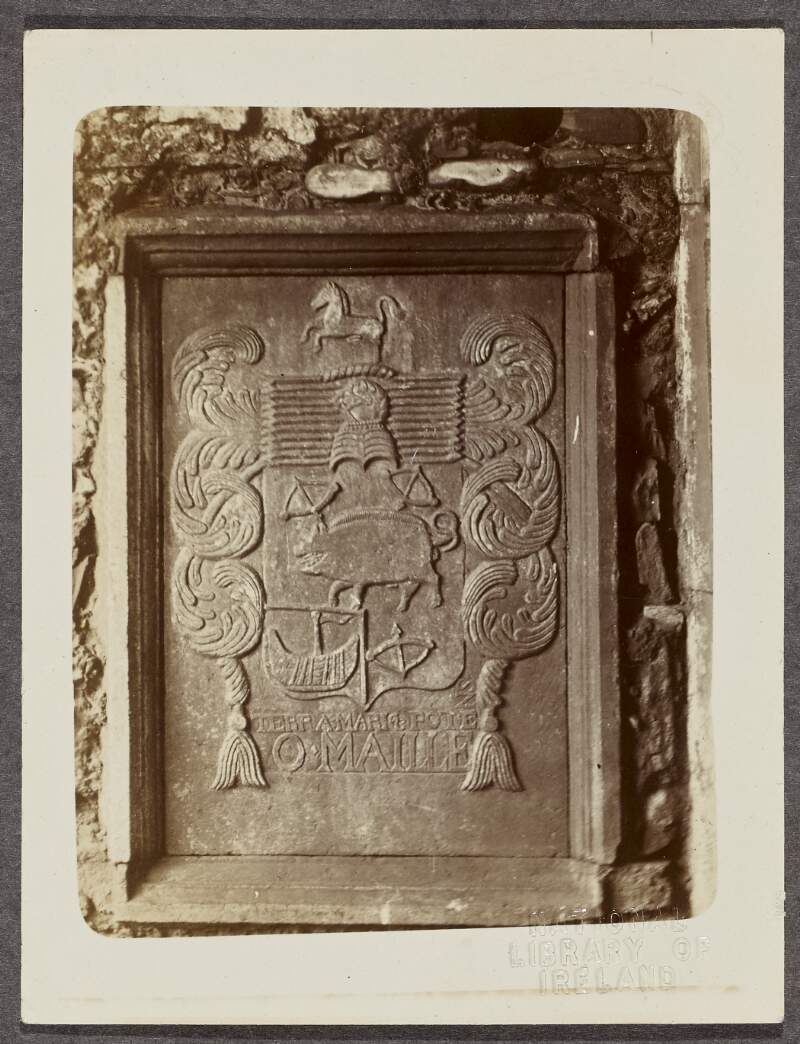 [Photograph of a tomb inscribed O Maille]