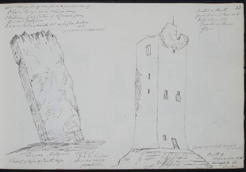 Liagan, Nutgrove ; Castle of Dunmahon