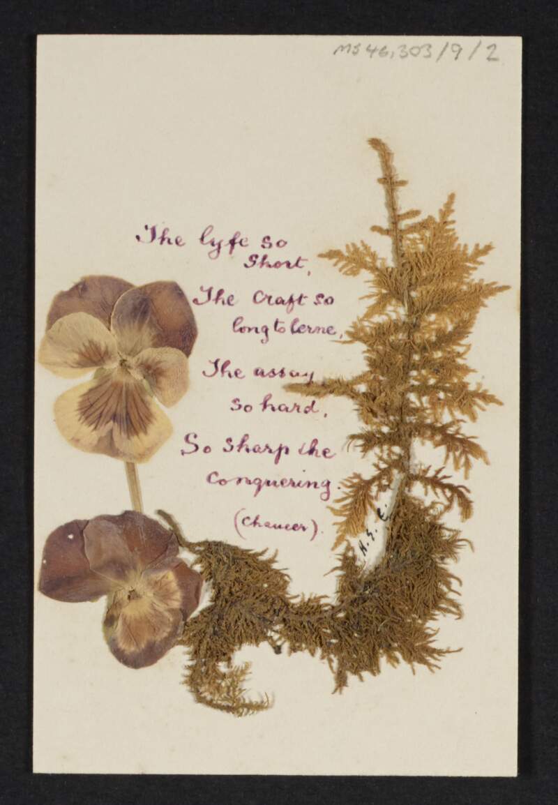 Copies of a poem, with dried violet decoration,