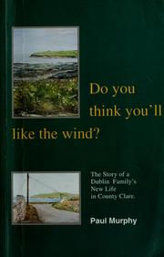 Do you think you'll like the wind? the story of a Dublin family's new life in County Clare