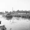 [Barge and swans on Grand Canal, Ballsbridge/Portobello, Dublin]