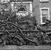 [Detail of ornate leaf ironwork, Clyde Road, Ballsbridge, Dublin]