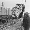 [Barrels poised to fall off railway carriage after a derailment of a Sligo goods train, at the 46 mile signal cabin, Co. Westmeath]