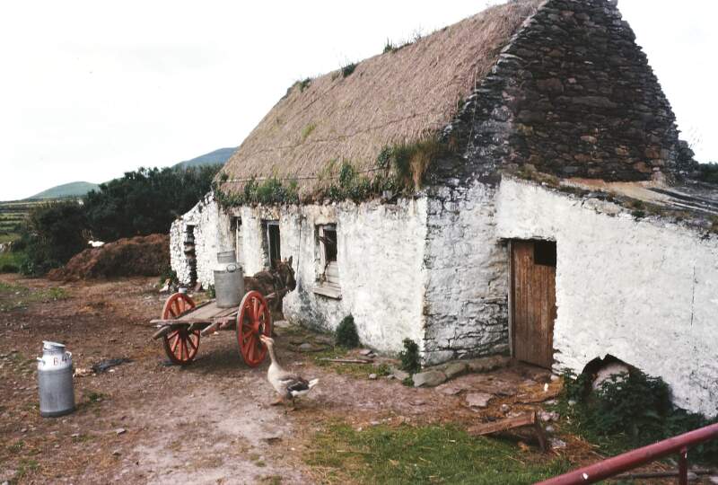 [Thatched cottage, Ring of Kerry, Ireland]