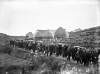 [Funeral procession from Church to graveside, following Arranmore boating tragedy]