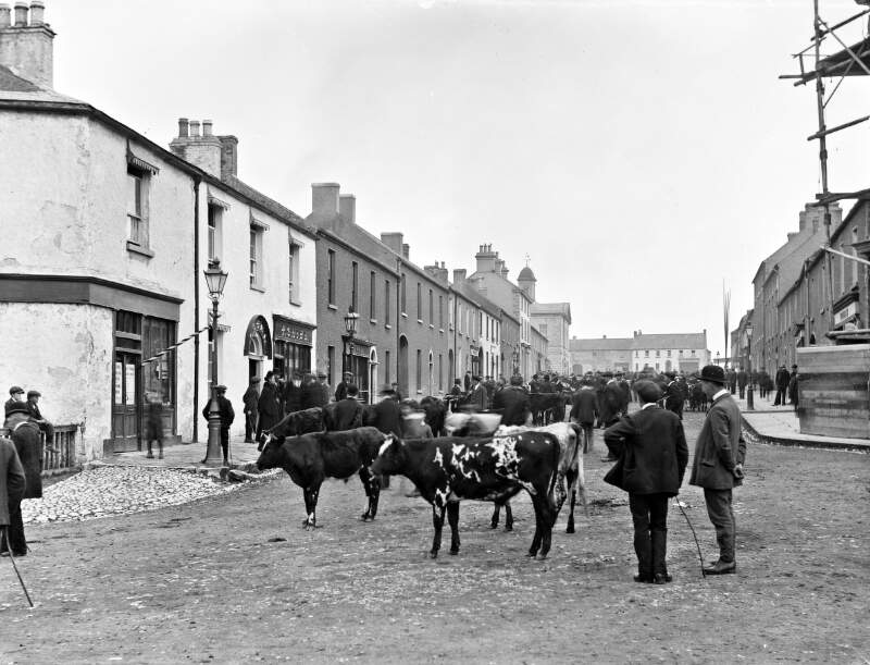 Cattle Fair, Edenderry, Co. Offaly