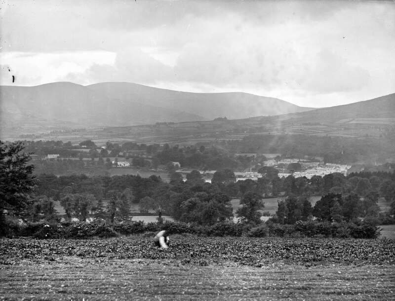 General View, Newtownbarry, Co. Wexford
