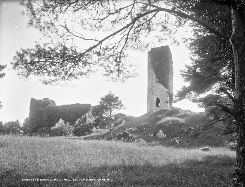 Barrett's Castle, Ballincollig, Co. Cork