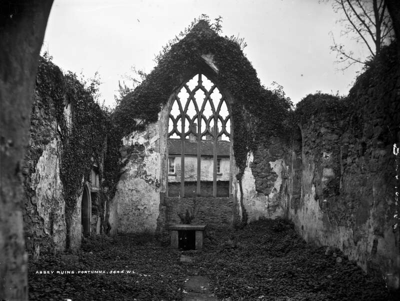 Abbey Ruins, Portumna, Co. Galway