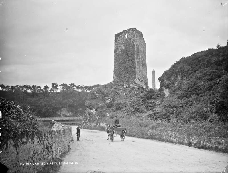 Ferrig Carrig Castle, Ferrycarrig, Co. Wexford