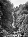 The Waterfall, Devil's Glen, Co. Wicklow