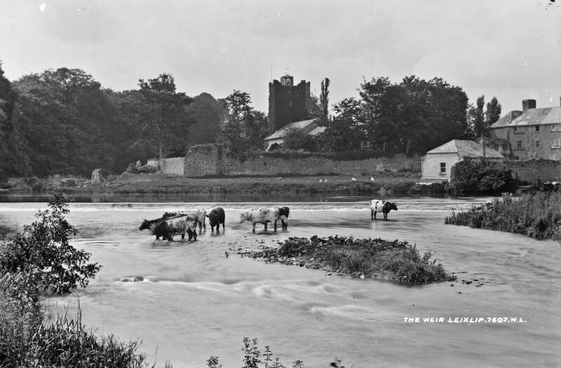 Salmon Weir, Leixlip, Co. Kildare