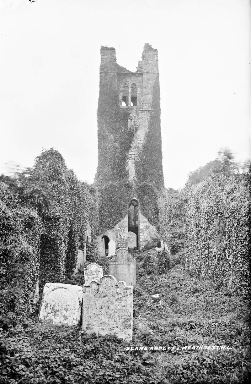 Abbey Ruins, Slane, Co. Meath