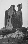 Dangan Castle, Ennis, Co. Clare