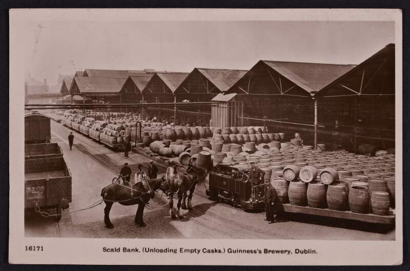 "Scald bank" (unloading empty casks) Guinness Brewery, Dublin [postcard sent from Mallow to Cashel in 1912].