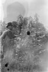 [Man standing beside unusual tall plant. He wears tweed breeches and jacket, with waistcoat and watch-chain. Lord Clonbrock]