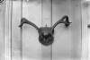 [Antlers displayed on wall (Panelled in wood).]