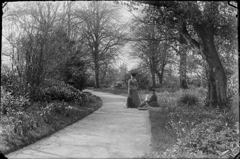 [Augusta with another woman on pathway, one seated, also two dogs. Daffodils growing on either side of pathway. Trees and shrubs also visible, clothes similar in style to 1890's or 1900 's.]