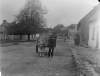 [Ahascragh 1926. Man standing with donkey and cart on street, thatched cottage nearby, trees and other cottages visible.]