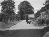 [Augusta Dillon with cane and dog standing on pathway in a walled garden with a green house visible.]