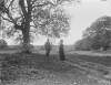 [A couple with canes standing in a field near a tree. Luke Gerald Dillon and Augusta Dillon.]