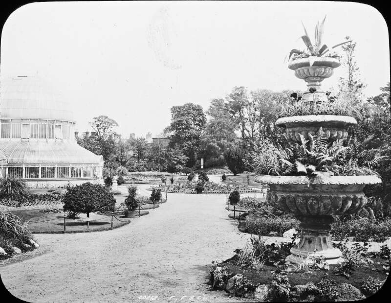 Belfast Botanic Gardens, with conservatory.