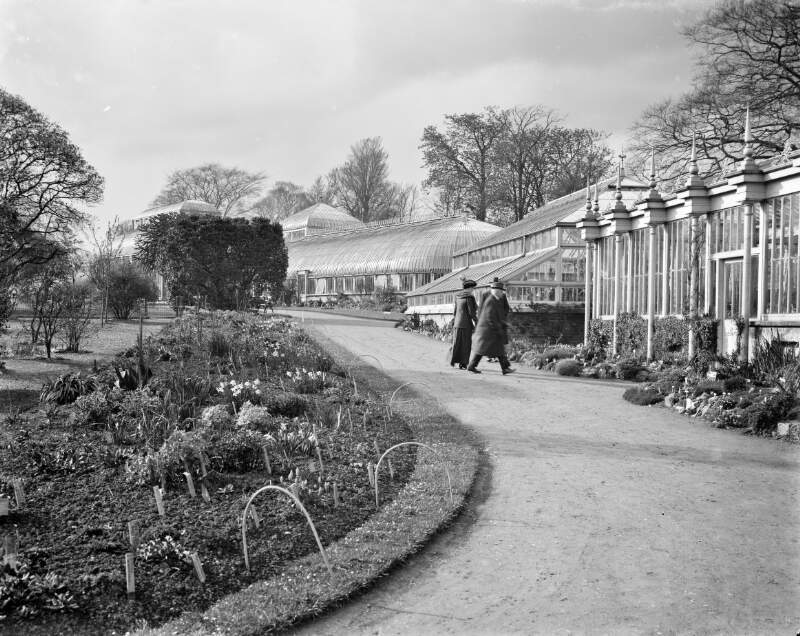 Botanical Gardens, Glasnevin, Dublin City, Co. Dublin