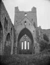Interior Dunbrody Abbey