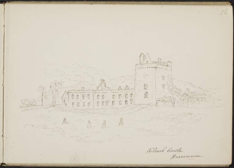 Kilcash Castle, Roscommon
