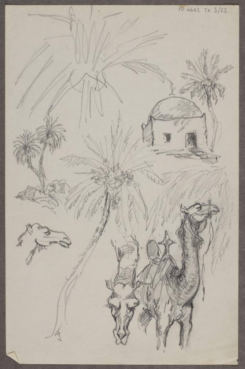 [Sketches of palm trees and camels]