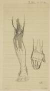 [Study sketches of right leg and hand]