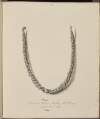 [Silver chain necklace, found at Miltown, Malbay, County Clare]